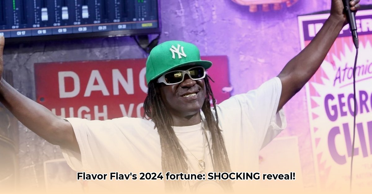 flava-flav-net-worth